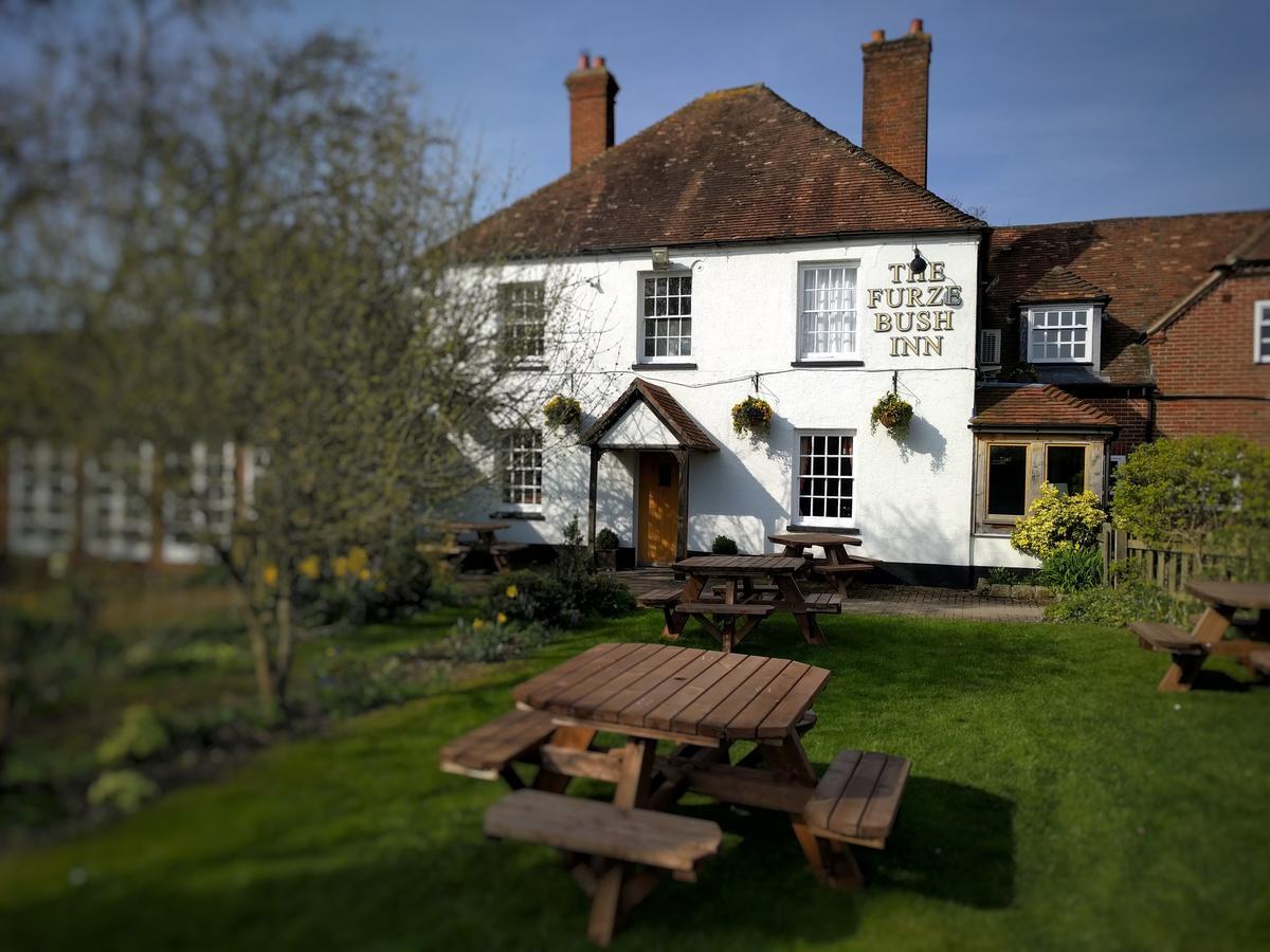 The Furze Bush Inn Newbury  Exteriér fotografie