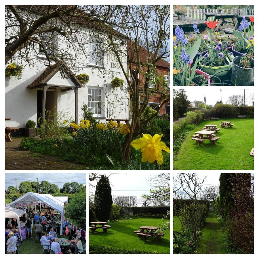 The Furze Bush Inn Newbury  Exteriér fotografie